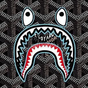 Meet your Posher, Jay